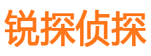 三江市私家侦探